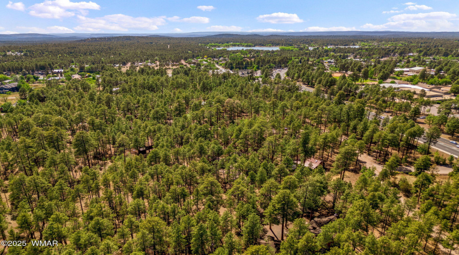 1137WHummingbirdCir-Pinetop-AZ-27