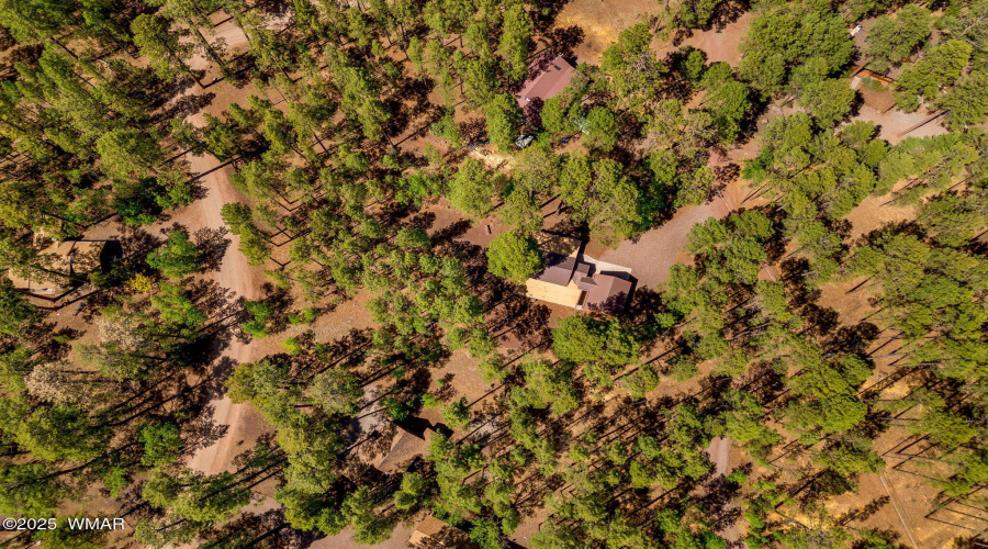 1137WHummingbirdCir-Pinetop-AZ-28