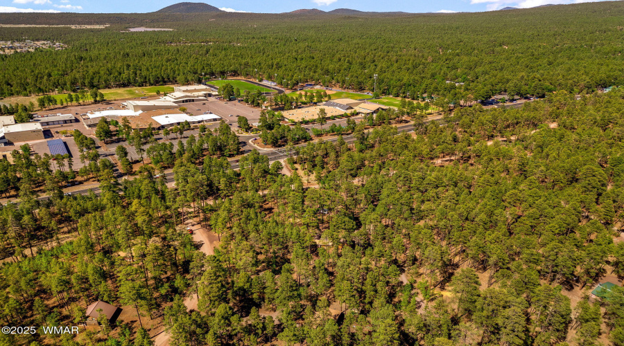 1137WHummingbirdCir-Pinetop-AZ-29