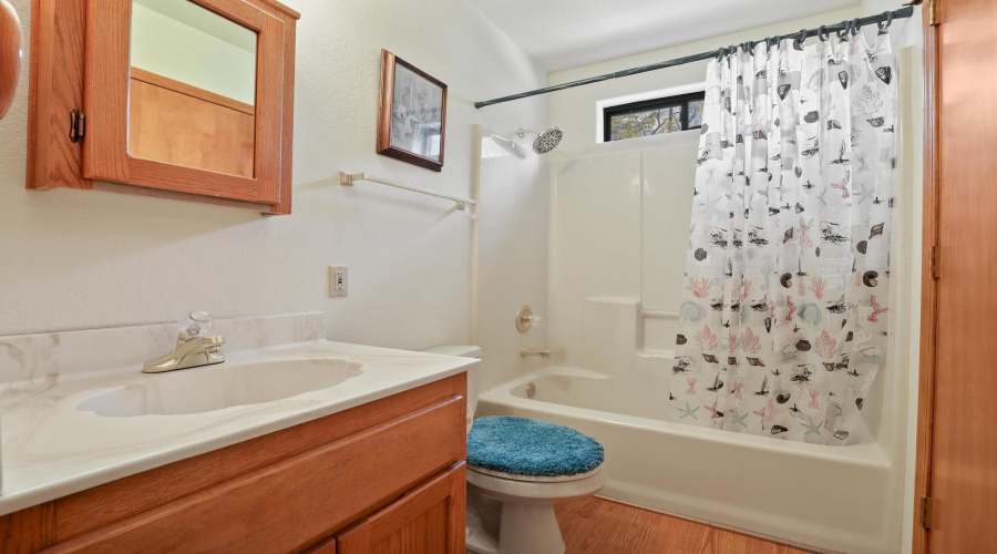 Downstairs bathroom