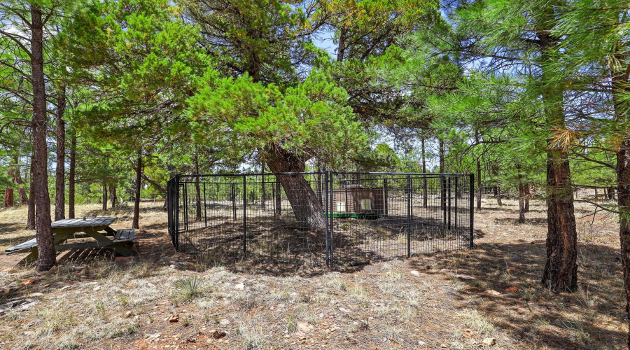 dog run