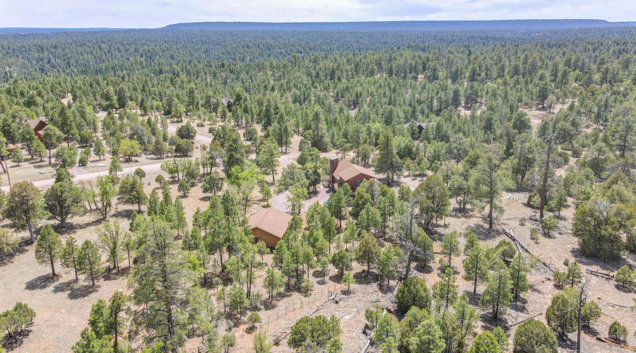 dji_fly_20250529_135742_245_174864694094