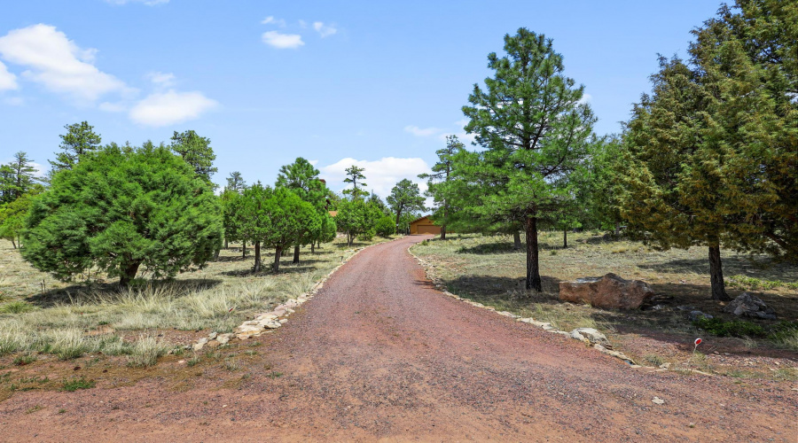 Long gravel drive