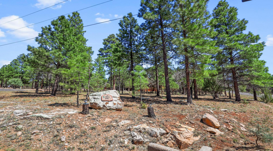 Beautiful level lot