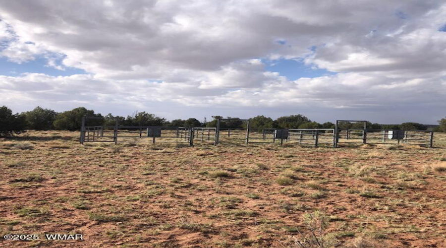 IMG_4109 CORRAL