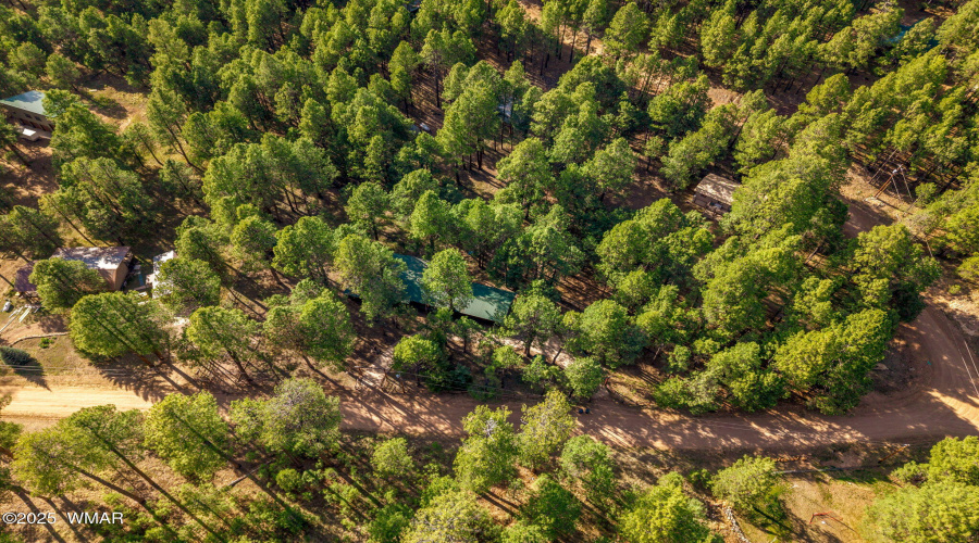 2499CanyonDr-ForestLakes-AZ-33