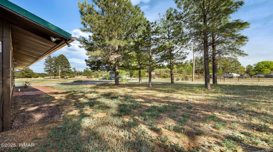 5492RdtothePast-ShowLow-AZ-4