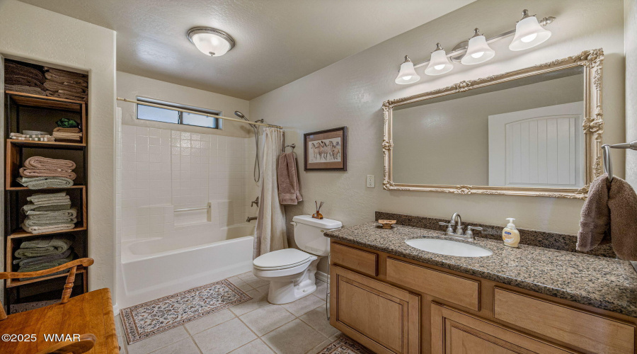 Guest Bathroom 1