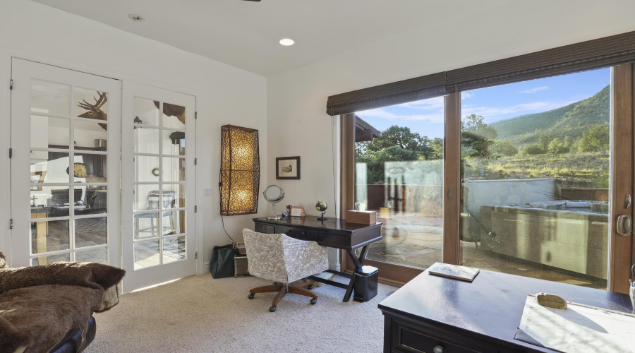 Bedroom 4 or office with patio access