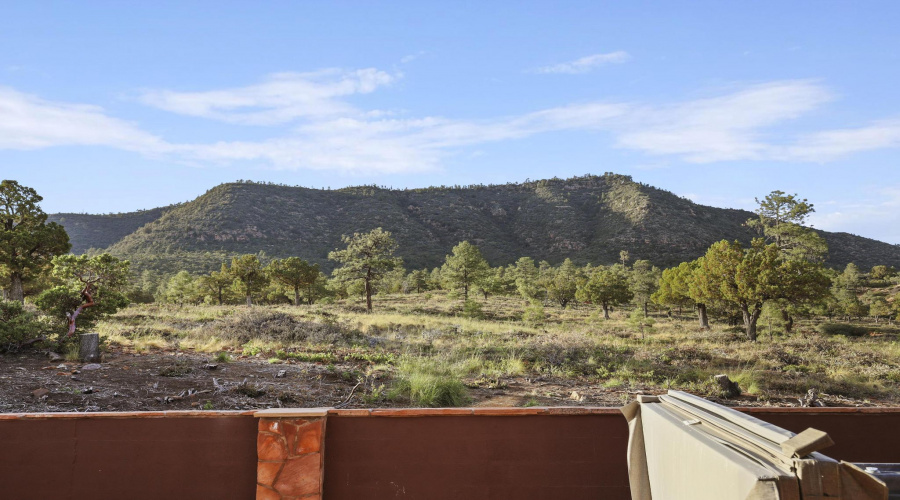 Backyard views