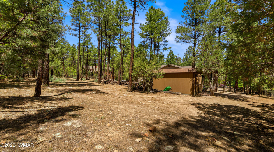 1180SWaterwayLn-ShowLow-AZ-27
