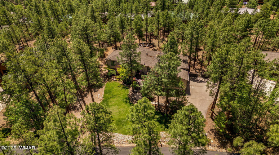 1180SWaterwayLn-ShowLow-AZ-28