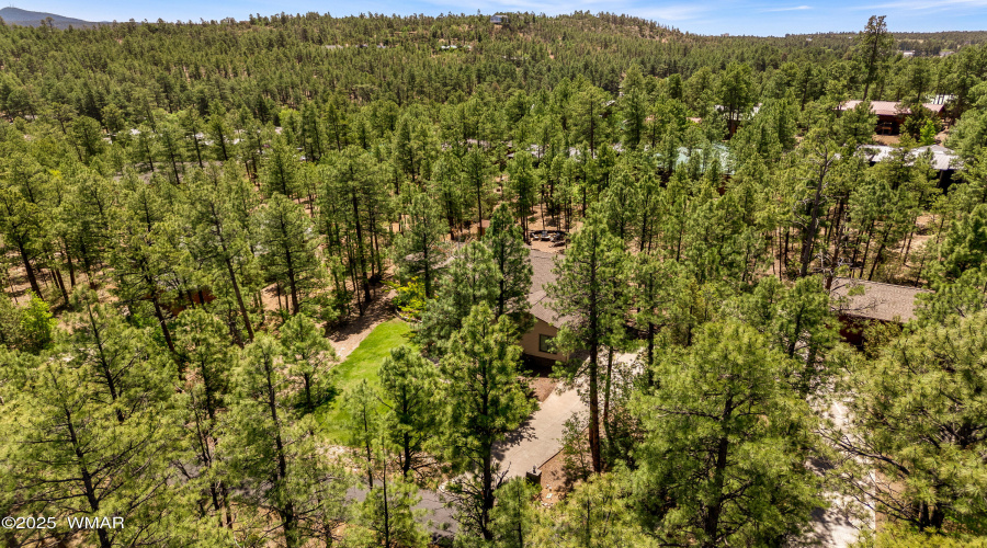 1180SWaterwayLn-ShowLow-AZ-32