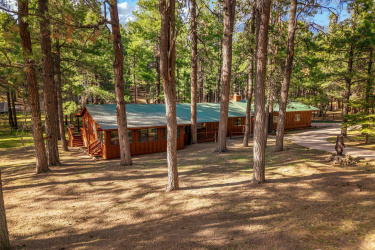 2499CanyonDr-ForestLakes-AZ-1