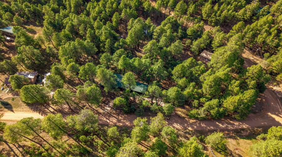 2499CanyonDr-ForestLakes-AZ-33