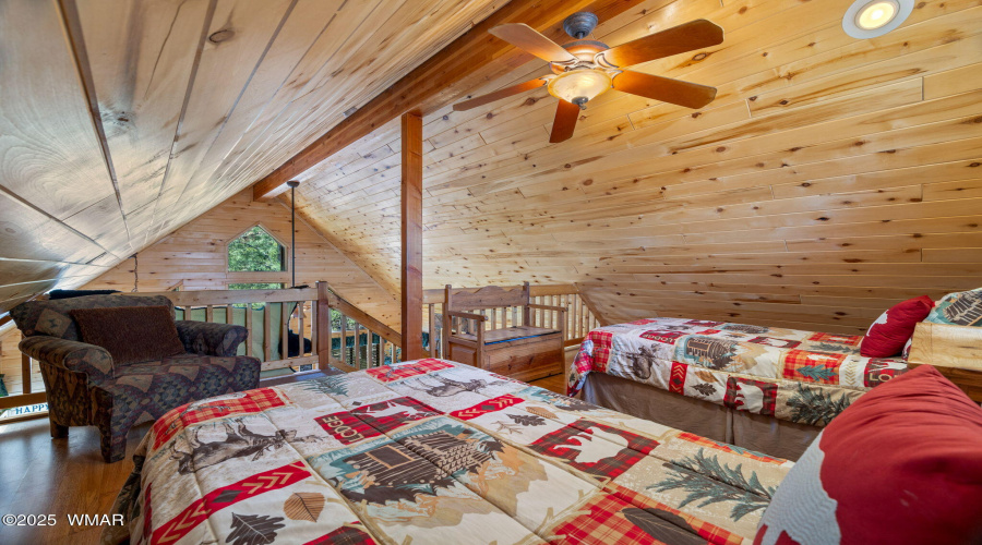 2747BeaverTrl-Overgaard-AZ-15