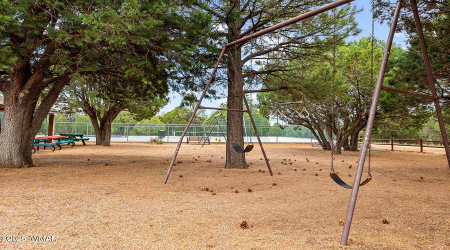 SWINGS AT THE PARK