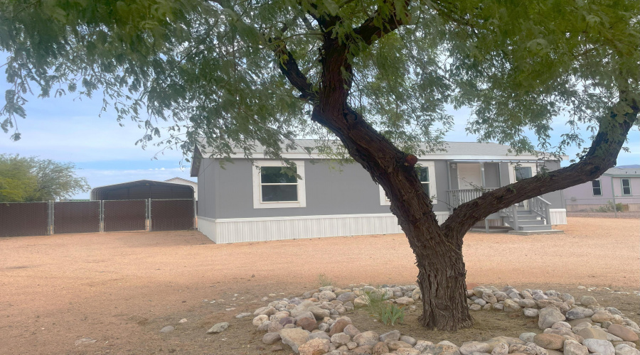 Large trees in front yard