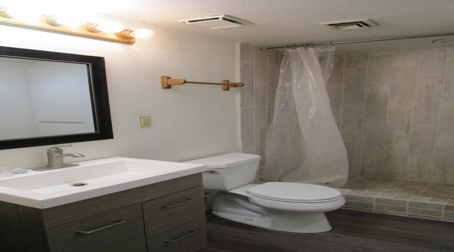 Downstairs bath