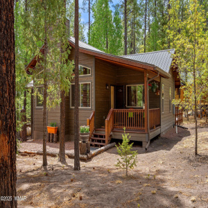 2CountyRd2069-Alpine-AZ-4