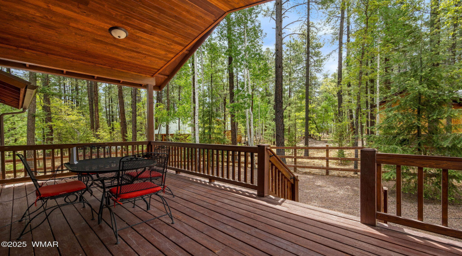 2CountyRd2069-Alpine-AZ-22