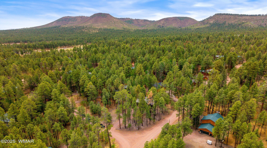 2CountyRd2069-Alpine-AZ-29
