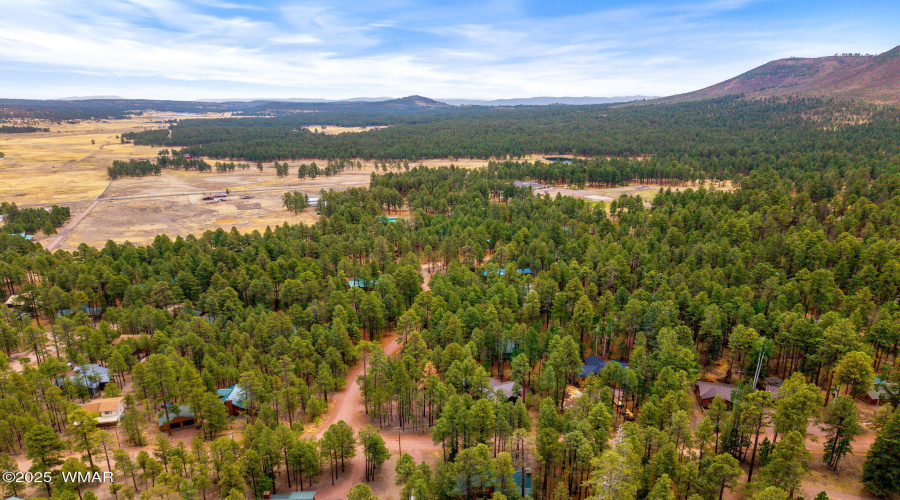 2CountyRd2069-Alpine-AZ-30