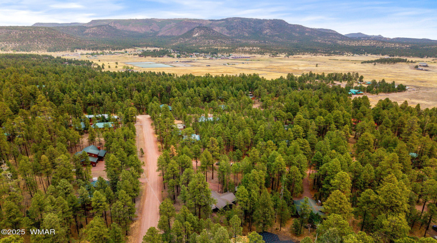 2CountyRd2069-Alpine-AZ-32