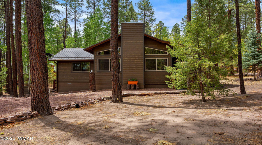 2CountyRd2069-Alpine-AZ-3