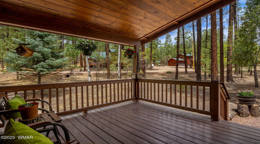 2CountyRd2069-Alpine-AZ-5