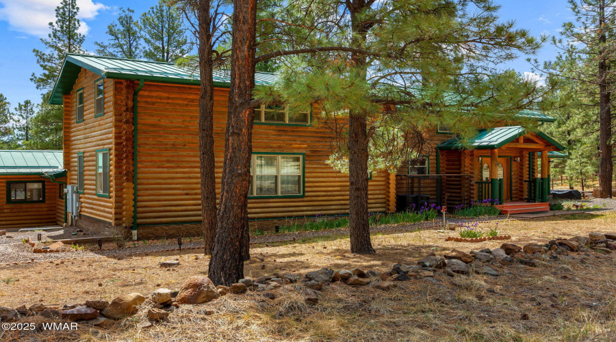 Cabin in the woods