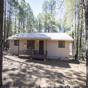 1667 Little Pine 47