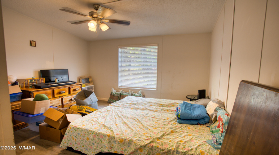 Paxmanphoto_PAX_5286