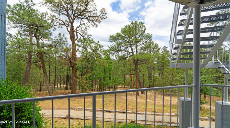 View from front patio/deck