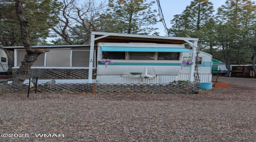 PXL_20250410_014132297 (1)