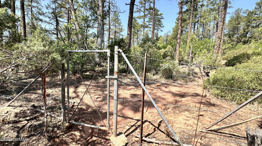 National Forest Access