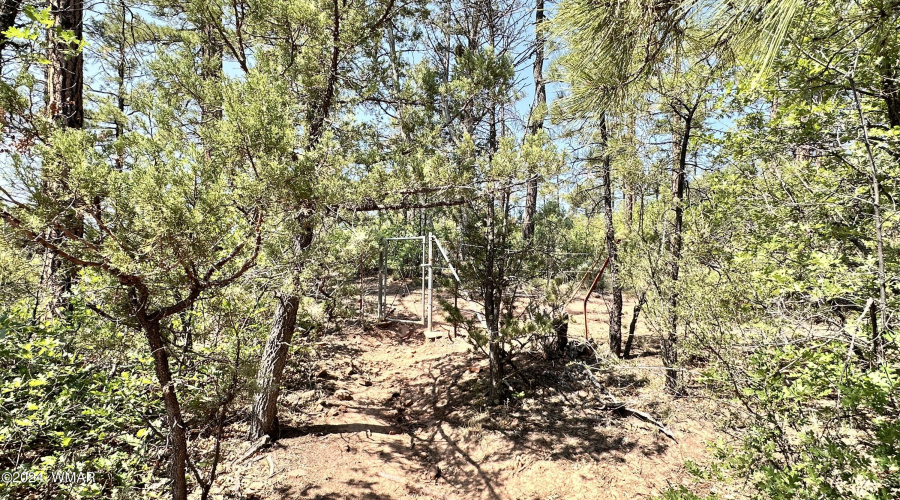 National Forest Access