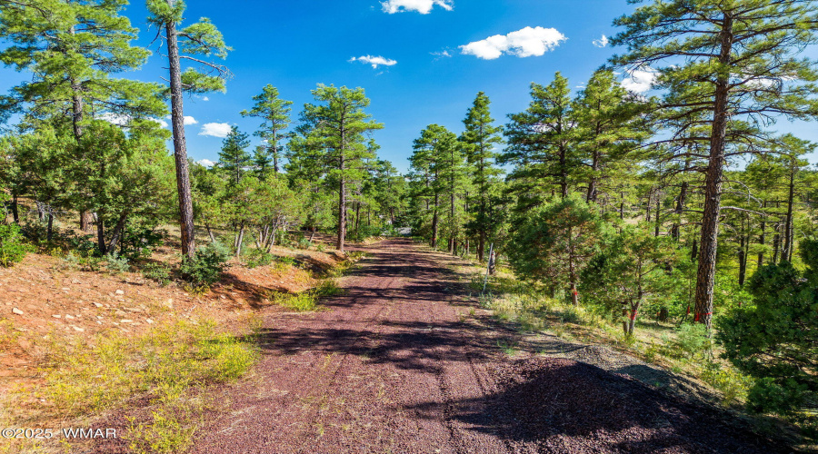 3201EEllsworthRd-ShowLow-AZ-6