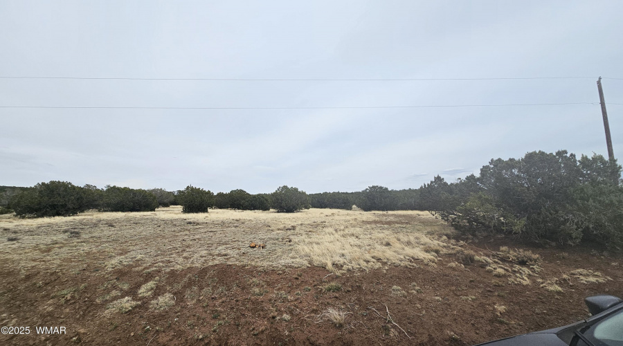 20250529_150820