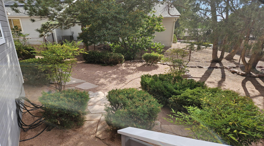 BACK YARD