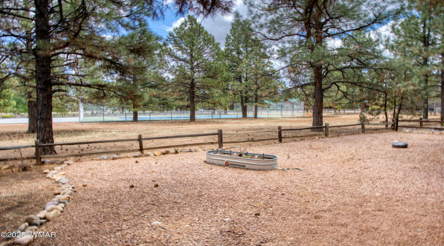 Paxmanphoto_PAX_1441[1]