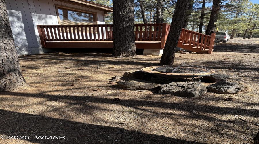 Fire Pit