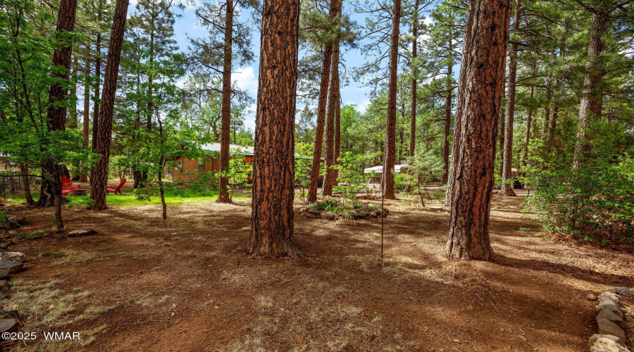 1106MoonridgeDr-Lakeside-AZ-4