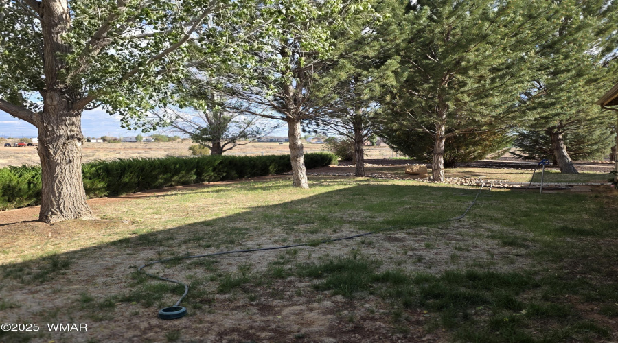 20250603_170928
