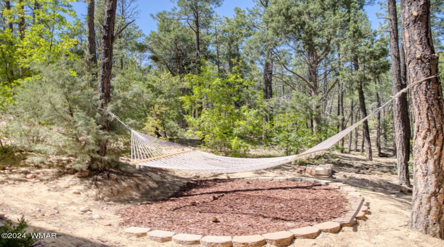 Sierra Pines Show Low for Sale