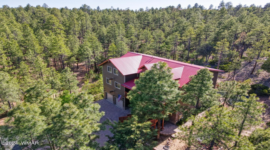 Sierra Pines Show Low for Sale