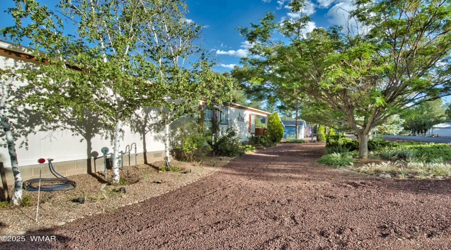 Exterior/Yard