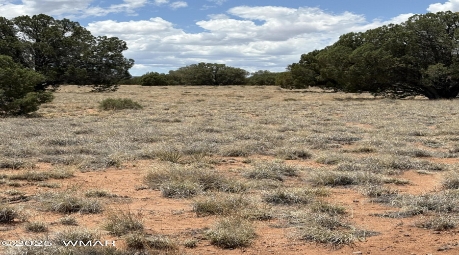 Flat Land