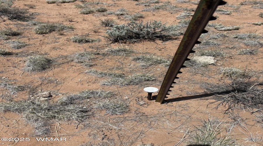 Survey Point