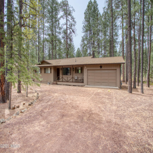 Your Cabin in the Wood Awaits